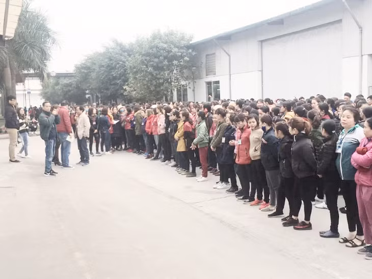 Công ty TNHH Giày dép Bách Năng Quảng Ninh 