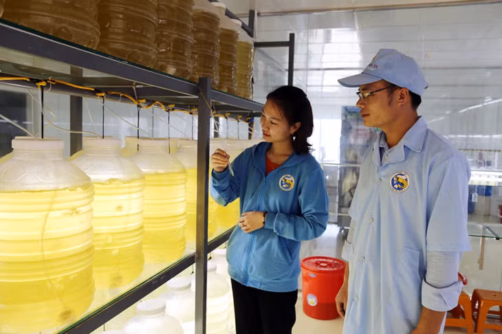 Công đoạn đầu tiên
