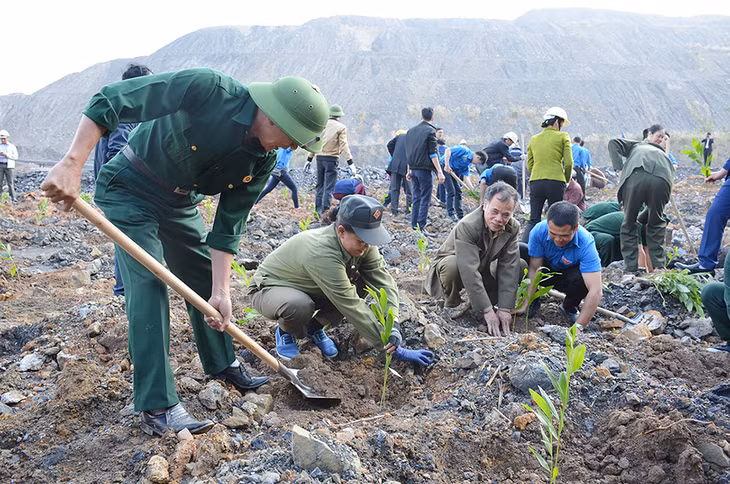 Trồng cây xanh hoàn nguyên môi trường tại TP Hạ Long