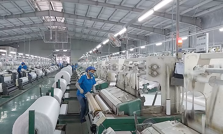 Lao động sản xuất tại Công ty TNHH Vinanewtarp Việt Nam, KCN Cái Lân.