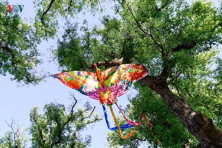 Làm diều và Thả diều là một thú chơi có từ xa xưa ở Việt Nam, nhưng để nâng cánh diều lên thành một nghệ thuật, nét văn hóa của vùng miền thì không phải nơi nào cũng làm được như ở xứ Huế.