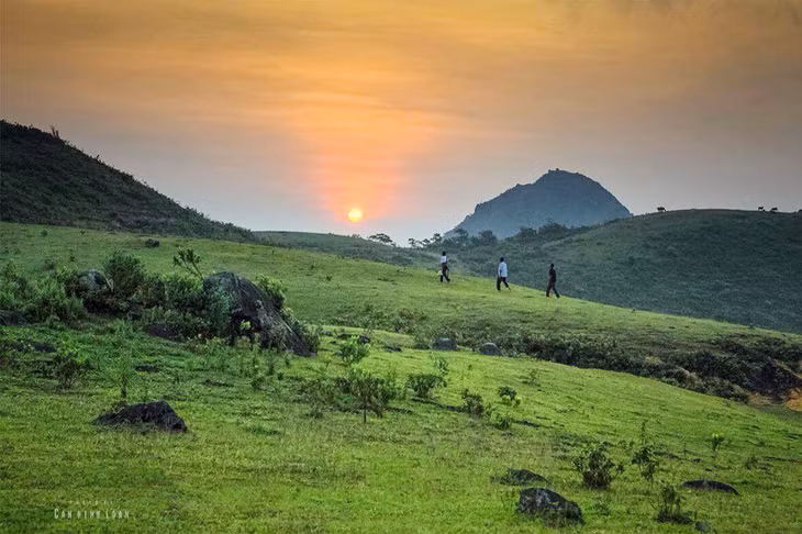 Quang cảnh Đồi Tinh 