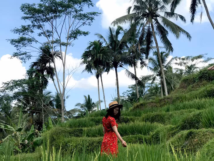 Khám phá vẻ đẹp của ruộng bậc thang Tegalalang.