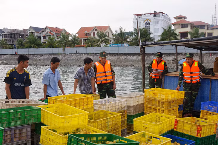 Bè gỗ vận chuyển gà, vịt nhập lầu bị lực lượng biên phòng bắt giữ.