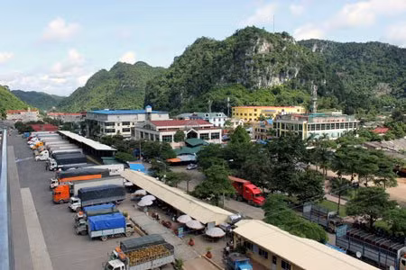 Ảnh minh họa. (Nguồn Internet)