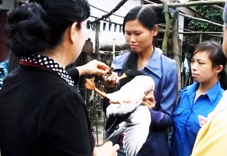 Các học viên được thực hành tiêm thuốc phòng bệnh cho vịt ở lớp tập huấn kỹ thuật chăn nuôi gia cầm xã Lục Hồn do TTHTCĐ xã tổ chức. (Ảnh tư liệu do Đài Bình Liêu cung cấp).