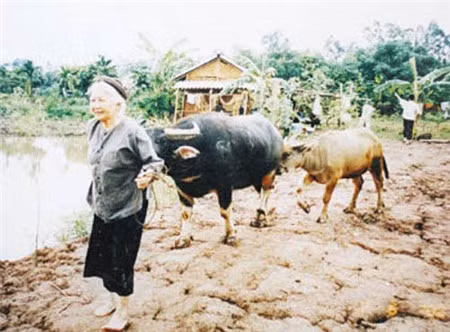 Hình ảnh người mẹ chân chất, hiền lành gắn liền với NSƯT Thu An.