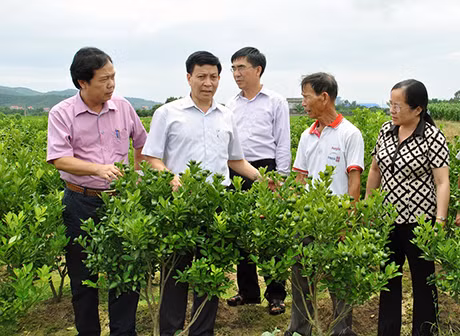Đoàn Giám sát HĐND tỉnh thăm mô hình trang trại tổng hợp của gia đình ông Nguyễn Đức Đào, thôn Quảng Mản, xã Bình Khê. Ảnh: Thanh Tùng