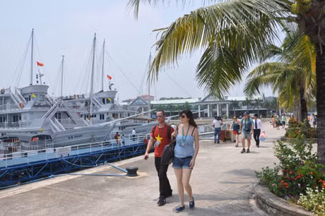 Du khách quốc tế đến với Tuần Châu.