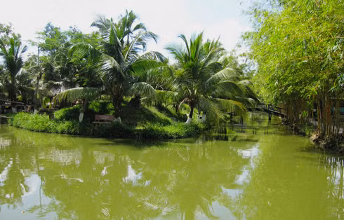 Những dòng kênh xanh mướt uốn lượn mang đến cảm giác thanh bình cho khu du lịch Bình Mỹ. Ảnh: dulichbinhmy.