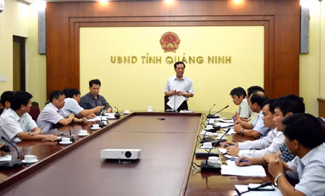 Đồng chí Đỗ Thông, Phó Chủ tịch Thường trực UBND tỉnh kết luận tại cuộc họp.