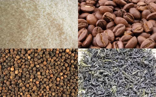 Gạo, cà phê, chè và hạt tiêu là 4 trong số những nông sản xuất khẩu chính của Việt Nam.