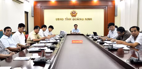 Đồng chí Đỗ Thông, Phó Chủ tịch UBND tỉnh cùng đại diện các sở, ngành liên quan họ trực tuyến với Chính phủ