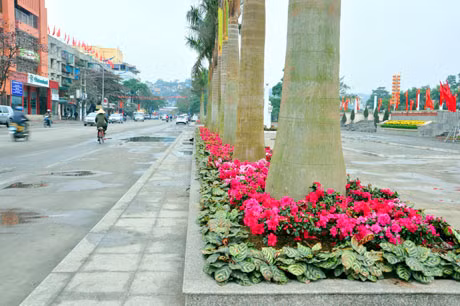 Hoa được trồng mới tại khu vực Đài tượng niệm.