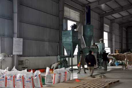 Đóng gói sản phẩm tại Nhà máy chế biến thức ăn chăn nuôi, Công ty CP Thiên Thuận Trường.