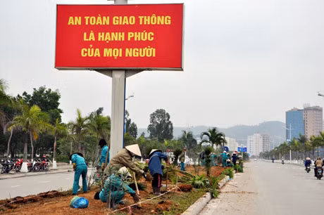 Công nhân Công ty CP môi trường đô thị tích cực chăm sóc