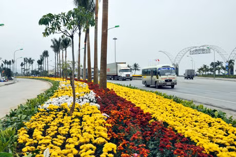 Trên QL18 dẫn vào TP Hạ Long hoa được trồng mới rực rỡ.