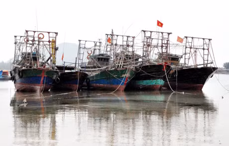 Do giá nhiên liệu tăng cao, nhiều tàu khai thác thủy sản của huyện Vân Đồn phải nằm bờ để tránh bị lỗ. Ảnh: HỮU VIỆT