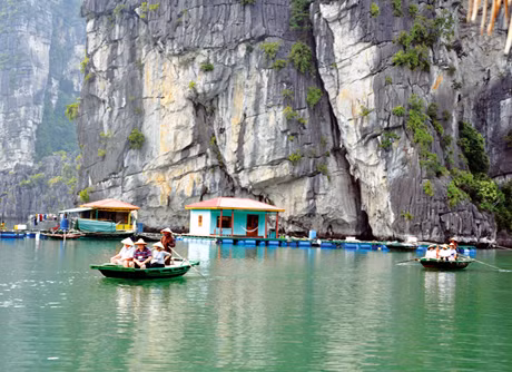 Dịch vụ đưa đón khách tham quan làng chài trên Vịnh Hạ Long - Một sản phẩm du lịch độc đáo của Quảng Ninh.