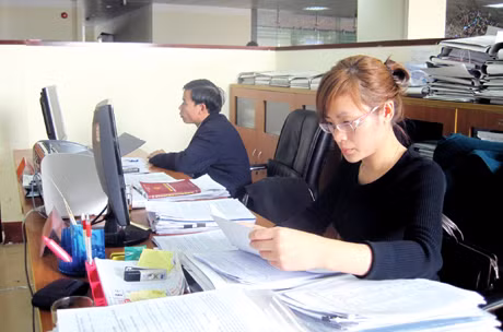 Cán bộ Phòng Cải Cách hành chính, Sở Nội vụ rà soát hồ sơ công việc.