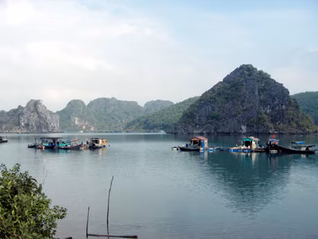 Đặc biệt, Quảng Ninh có kỳ quan Vịnh Hạ Long, di sản thiên nhiên của thế giới; có Bái Tử Long - một vùng vịnh duyên dáng với những bãi tắm thơ mộng, hoang sơ, làn nước xanh trong như pha lê, những địa danh lịch sử và vô vàn sản vật;...