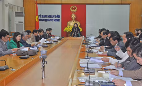 Đồng chí Vũ Thị Thu Thuỷ, Phó Chủ tịch UBND tỉnh kết luận cuộc họp.