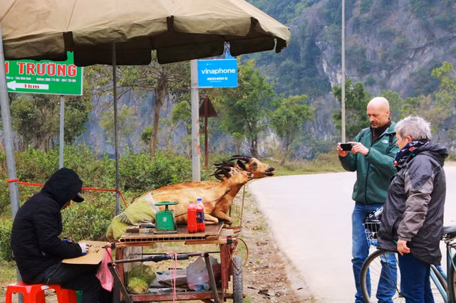 Một du khách nước ngoài dùng máy ảnh ghi lại cảnh bán thịt dê ven đường của người dân Ninh Bình.