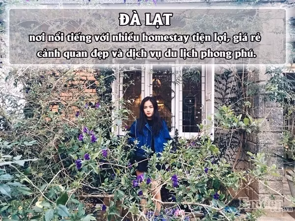 Thành phố của dịch vụ này quy tụ nhiều homestay có view bao quát cả vùng thung lũng rộng lớn với khung cảnh lãng mạn, tươi đẹp. Có thể nói với những homestay xinh xắn này, mỗi mét vuông bạn có thể chụp được cả chục tấm ảnh đẹp và độc đáo.