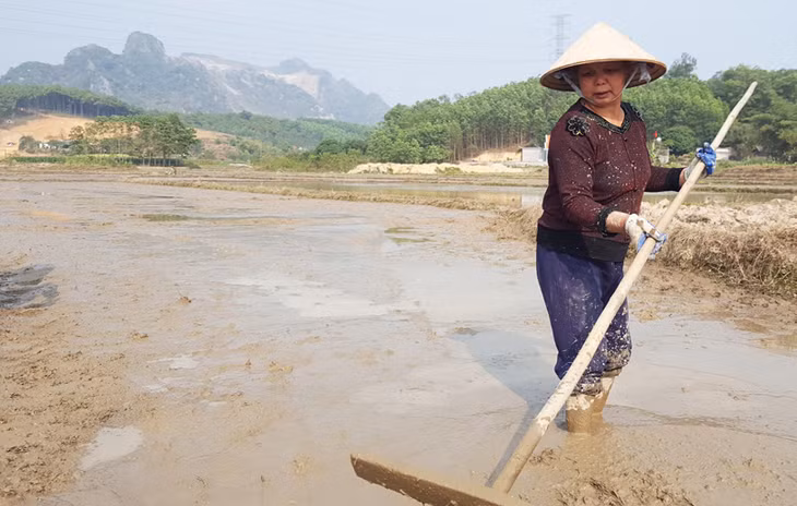 Sau 13 năm “thất nghiệp” song những động tác lồng đất, ải đất của nông dân Nguyễn Văn Long và Bàn Thị Vi trên thửa ruộng của mình dường như vẫn còn rất nhuần nhuyễn, kỹ càng và quy củ.