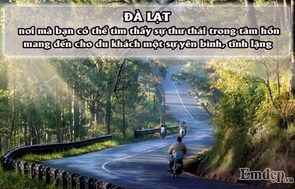 Nói tới Đà Lạt là nói tới các danh lam thắng cảnh hàng đầu Việt Nam. Đà Lạt luôn mang đến cho du khách một sự yên bình, tĩnh lặng sau những bộn bề, lo toan mỗi khi cần được thư giãn. Các thắng cảnh Đà Lạt nổi tiếng luôn có những điểm đặc trưng thu hút du khách ở sự lãng mạn, thơ mộng tựa một bức tranh huyền ảo.