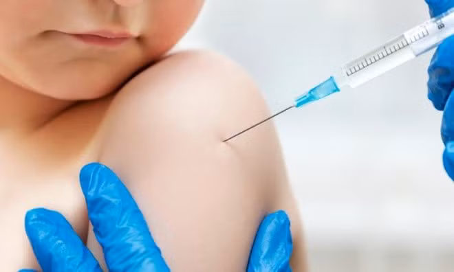 Vaccine mới chống lại các bệnh do muỗi truyền đang được thử nghiệm. Ảnh: Kisdspot.