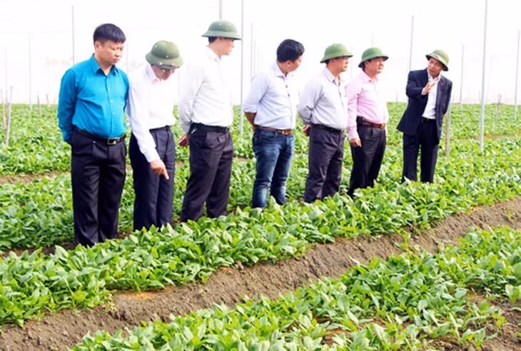 Phó Chủ tịch Thường trực UBND tỉnh Đặng Huy Hậu kiểm tra sản xuất nông nghiệp tại Khu nông nghiệp công nghệ cao Hồng Thái Tây, TX Đông Triều ngày mùng 6 Tết. Ảnh: Ngọc Thanh