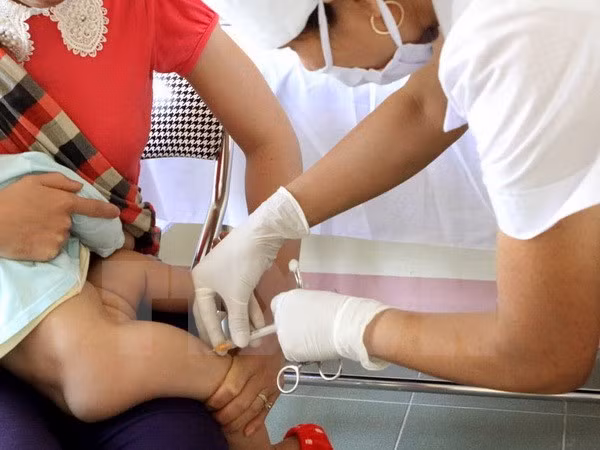 Ảnh chỉ có tính minh họa. (Ảnh: Dương Ngọc/TTXVN)