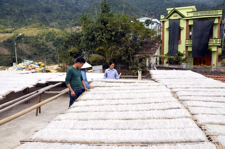 Đầu tư phát triển sản xuất, hỗ trợ đầu tư cho nhóm hộ, HTX, tổ hợp tác tại vùng ĐBKK, là một trong những giải pháp xoá nghèo hiệu quả. Trong ảnh: Sản xuất miến dong tại HTX Phát triển Đình Trung (thôn Nà Ếch, xã Húc Động, huyện Bình Liêu).