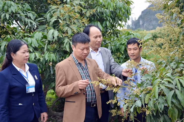 Đại diện