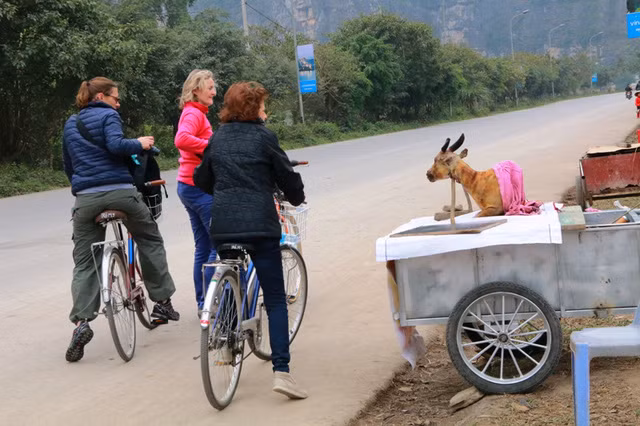 Những du khách nữ "ái ngại" khi nhìn thấy con dê bị giết thịt thui đen, nhe hàm răng bày bán ngay bên đường rất phản cảm.