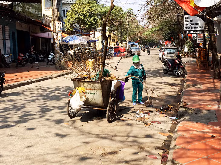 Thiết nghĩ, để cảnh quan môi trường được xanh - sạch - đẹp sau Tết thì mỗi người dân nên có ý thức, trách nhiệm trong việc vứt đào quất ra đường để đảm bảo mỹ quan đô thị.