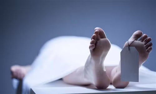 Một số tế bào vẫn còn sống và tự sửa chữa sau khi con người chết đi. Ảnh: Katarzyna Bialasiewicz.