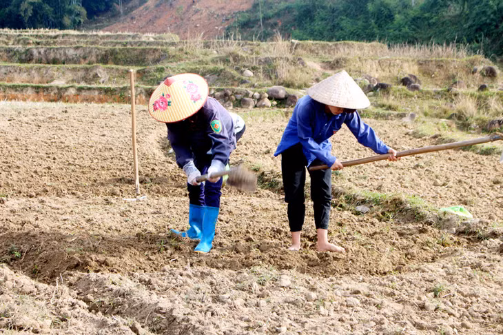 Nông dân Bình Liêu chủ động ra đồng làm đất canh tác vụ xuân 2017.