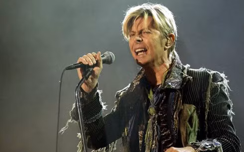 Nam nghệ sĩ quá cố David Bowie.