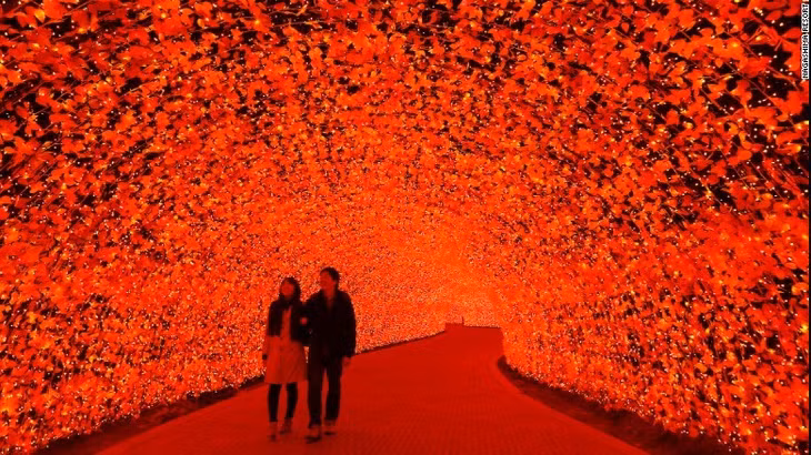 Lễ hội thường niên này do khu nghỉ dưỡng suối nước nóng Nagashima ở quận Mie tổ chức ngay ngoại ô thành phố Nagoya, với hơn 8 triệu bóng đèn LED.