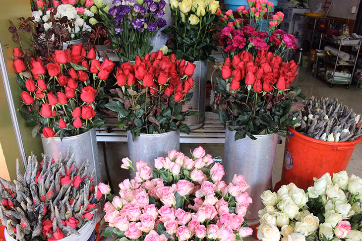 Hoa hồng đỏ vẫn lên ngôi trong mùa yêu thương.