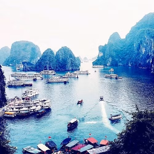  Một góc Hạ Long nhộn nhịp tàu thuyền. Ảnh BO 