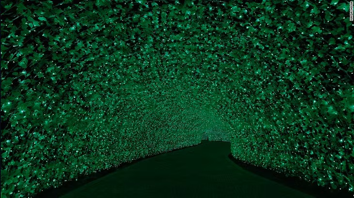 Giống những năm trước, lễ hội lần này cũng có một đường hầm ánh sáng dài 100 m tuyệt đẹp. Năm nay con đường có thể đổi thành các màu xanh lá, đỏ và cam để mô phỏng sắc lá mùa thu.