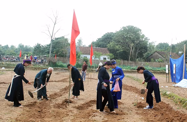 Người dân và thầy mo cùng xuống đồng trong ngày đầu năm mới tại Lễ hội Đình Đồng (xã Phong Dụ, huyện Tiên Yên).