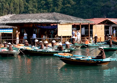 Nghề chèo thuyền nan thu hút nhiều lực lượng lao động tại đây.