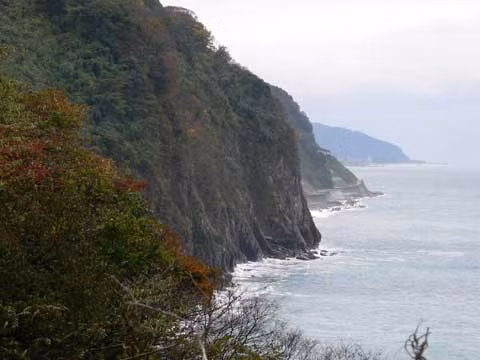 Tỉnh Niigata của Nhật Bản. Ảnh: wikipedia