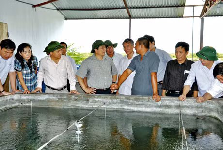 Các đồng chí lãnh đạo tỉnh thăm mô hình nuôi trồng hải sản của anh Ngô Vĩnh Hạnh, thôn Đầm Buôn, xã Đầm Hà.
