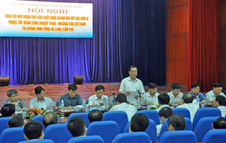 Đồng chí Đỗ Thông, Phó Chủ tịch Thường trực UBND tỉnh kết luận buổi làm việc.