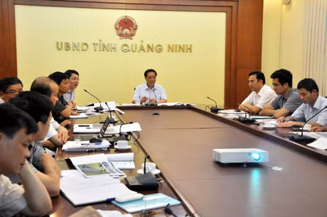 Đồng chí Đỗ Thông, Phó Chủ tịch Thường trực UBND tỉnh phát biểu kết luận buổi làm việc.